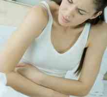 Zabrinuti zbog gastroduodenitisa? Dijeta i biljke pomoći će u liječenju