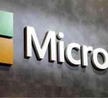 Microsoft bežični miš: pregled, pregled, značajke i recenzije