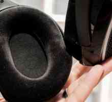 Bežične slušalice `Sinhayzer`: opis, tehnička svojstva, modeli i recenzije