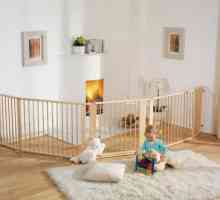 Sigurnost u kući: ograda za djecu