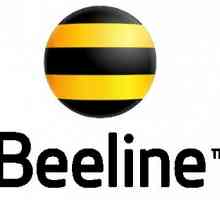 "Beeline": "All-inclusive". Cijene "All Inclusive L": recenzije