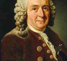 Biografija Carl Linnaeusa. Doprinos Karl Linnaeusu znanosti