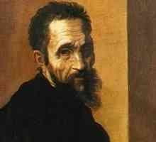 Biografija Michelangela, velikog umjetnika renesanse