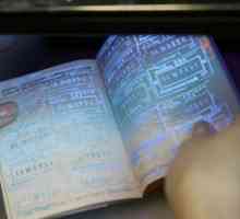 Биометрические паспорта - что это такое? Как получить биометрический паспорт