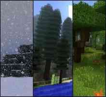 Biomes u `Minecraftu`: raznolikost, značajke