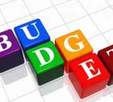 Proračunska klasifikacija troškova