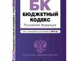 Proračunski sustav Ruske Federacije i načela njegove izgradnje