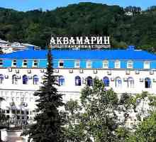 Budgetary pansion `Aquamarin` (područje Khostinsky / Sochi)