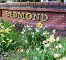 Blender `Redmond`: recenzije. Specifikacije, cijene, fotografije