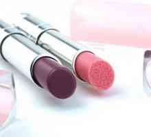 Lip Gloss "Dior": varijacije nijansi i pregleda