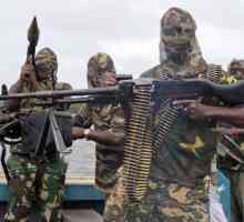 Boko Haram je radikalna nigerijska islamska organizacija. Masovno spaljivanje djece od strane…