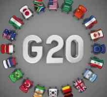 "Velika dvadeset": povijest i ciljevi organizacije. Koje su zemlje uključene u G20?