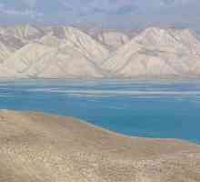 Veliki Aral More: uzroci smrti, povijesti, fotografije