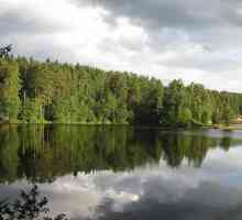 Veliki Simaginskoye jezero je mjesto za odmor i ribolov