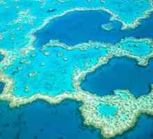 Velika koraljna greben, Australija: povijest, opis i zanimljive činjenice