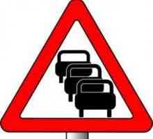 Borba protiv prometnih gužvi u svijetu: učinkoviti načini