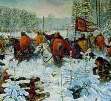 Bortenevskaya bitka: uzroci, posljedice