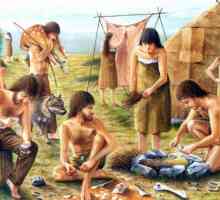 Botay kultura je arheološka kultura eneolitika. Domaći konj