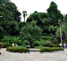 Botanički vrt Batumi. Zeleni rt