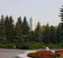 Botanički vrt (Yekaterinburg) predstavlja bogatu zbirku biljaka.