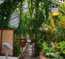 Botanički vrt, Irkutsk: vrtna terapija i kontaktni zoološki vrt