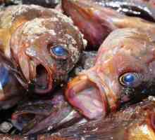Botulizam u ribi: kako razlikovati i izbjeći trovanje? Botulizam: simptomi bolesti