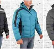 Braggart (куртки): отзывы. Мужские зимние куртки Braggart: цены, фото