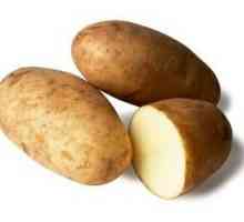 "Breeze" - krumpir visoke produktivnosti s izvrsnim okusom