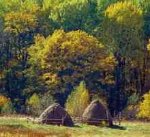 `Bryansk Forest` je rezidencija biosfere pod pokroviteljstvom UNESCO-a