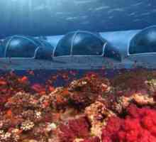 Hoće li biti hotel podmorja s pet zvjezdica Poseidon Undersea Resort u Fiji?