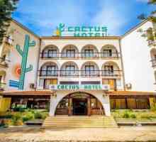 Cactus Hotel 2 * (Cipar, Larnaka): opis, usluga, recenzije