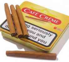 Cafe Creme (cigarillos) - br. 1 na svijetu
