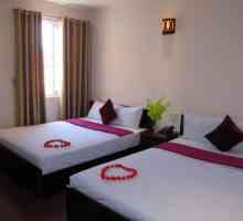 Camellia Nha Trang 2 * Hotel (Vijetnam, Nha Trang): pregled, sobe i recenzije gostiju