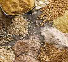 Proizvodi od cjelovitog zrna: prednosti i nedostaci