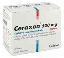 "Ceraxon" (vrećica): upute za uporabu, indikacije, sastav, recenzije