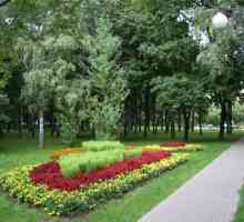 Park Chapayevsky, ili Aviatorov park: mali zeleni otok u velikom gradu
