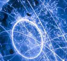 Čestica neutrina: definicija, svojstva, opis. Oscilacije neutrina su ...