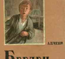 Chekhov `bjegunac`: kratki sažetak i analiza priče