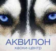 Chelyabinsk, Husky Center `Aquilon`: kako doći, izleti, pas sanjkanje
