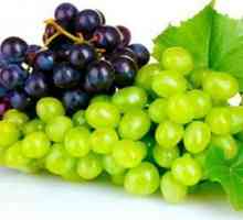 Što je bolest grožđa? Plijesan: liječenje bolesti, uzroka i prevencije