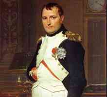 Чем можно объяснить многонациональный состав армии Наполеона: причины и следствия