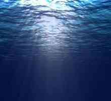 Koja je razlika između oceanskih struja i valova? Priroda i mogućnosti tih fenomena