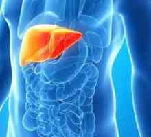 Što su opasne ciste jetre, kako liječiti bolest
