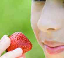 Što je korisno za jagode za tijelo i koje su kontraindikacije? Koji su vitamini jagode?