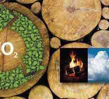 Koja je specifična toplina izgaranja ogrjevnog drva?