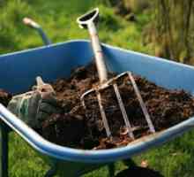 Kako oploditi zemlju u jesen, ako nema gnojiva? Što gnojiva padaju u tlu u jesen?