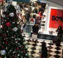 Crni petak u SAD-u: Božićna prodaja u trgovinama