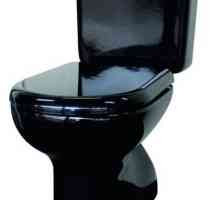 Crni toalet WC: fotografija, prednosti i nedostaci, mogućnosti kupaonskog dizajna