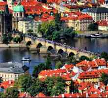 Češki službeni vizni centri u Moskvi i drugim ruskim gradovima