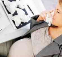 Sneezing tijekom trudnoće: mogući uzroci i karakteristike liječenja